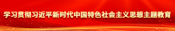 粉嫩小妹操b学习贯彻习近平新时代中国特色社会主义思想主题教育